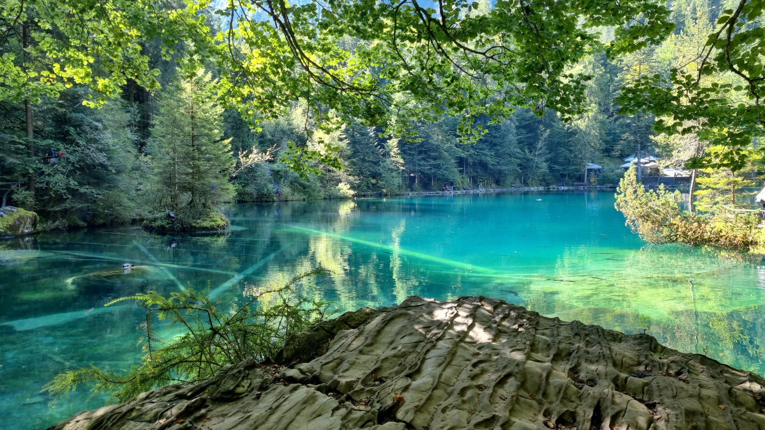 Blue Lake & Öschinen Lake (Interlaken top tour)