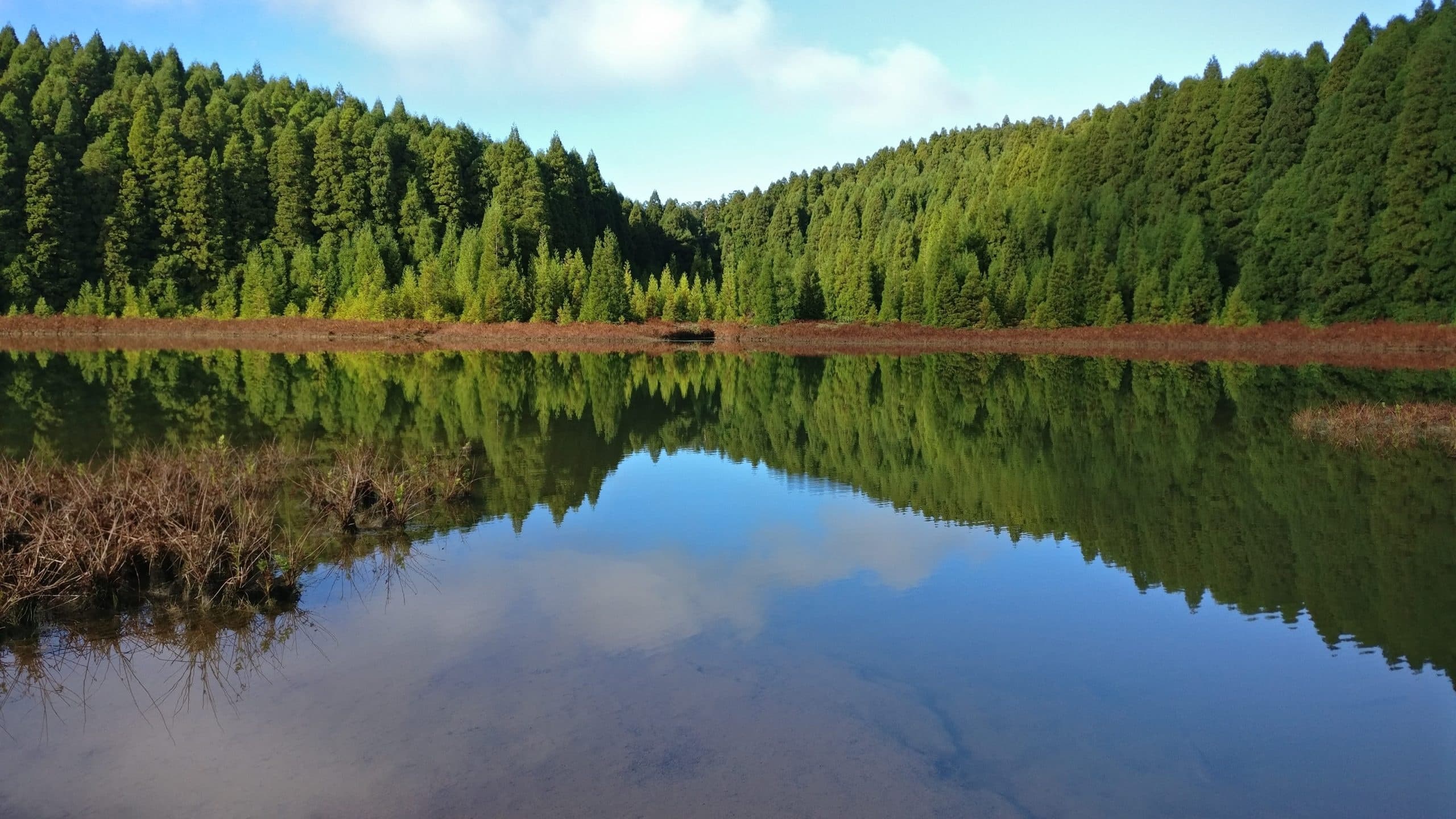 Lagoa das Sete Cidades & Lagoa do Fogo - Grupo Privado