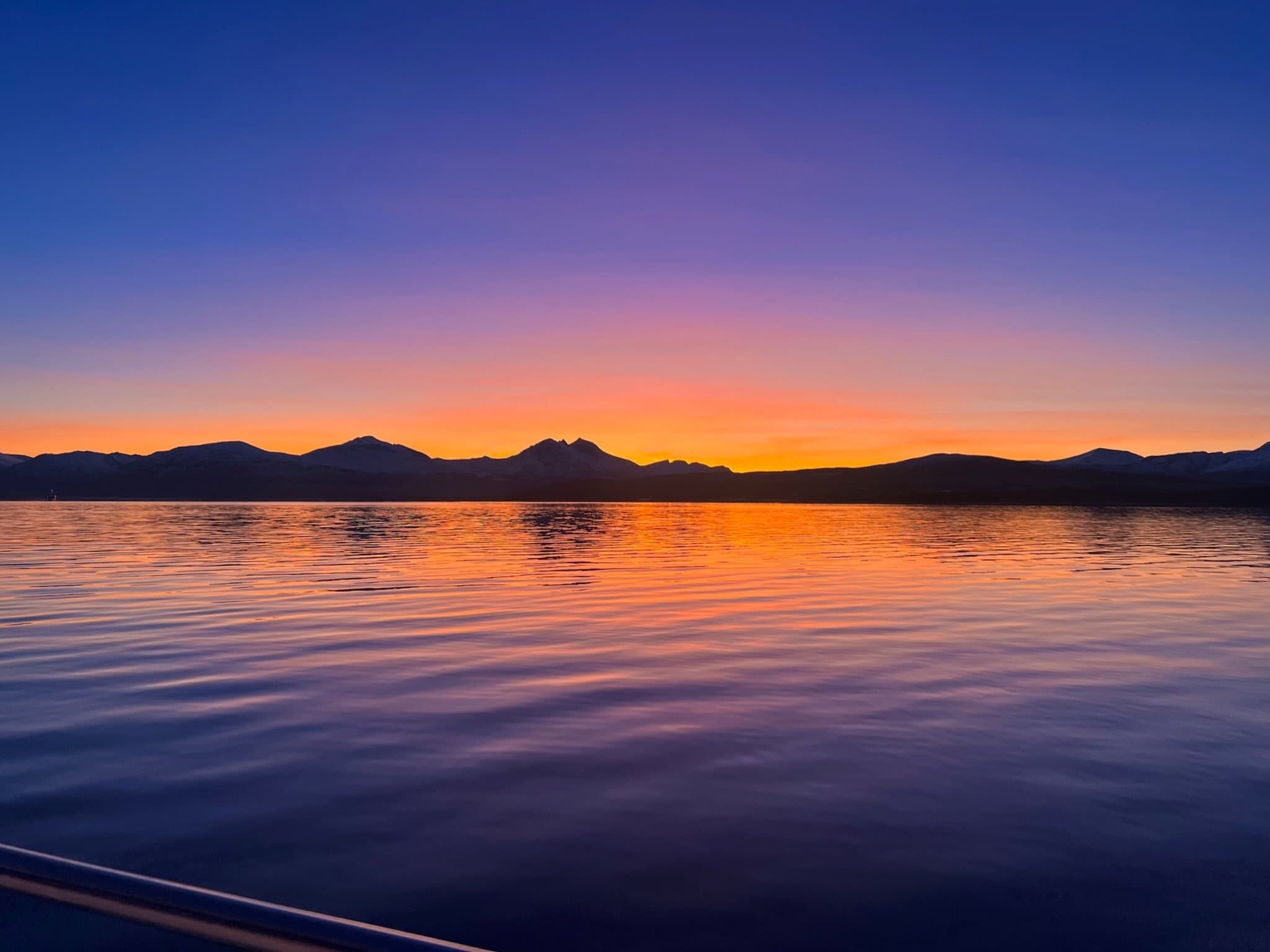 Seafood and Fjord Tour