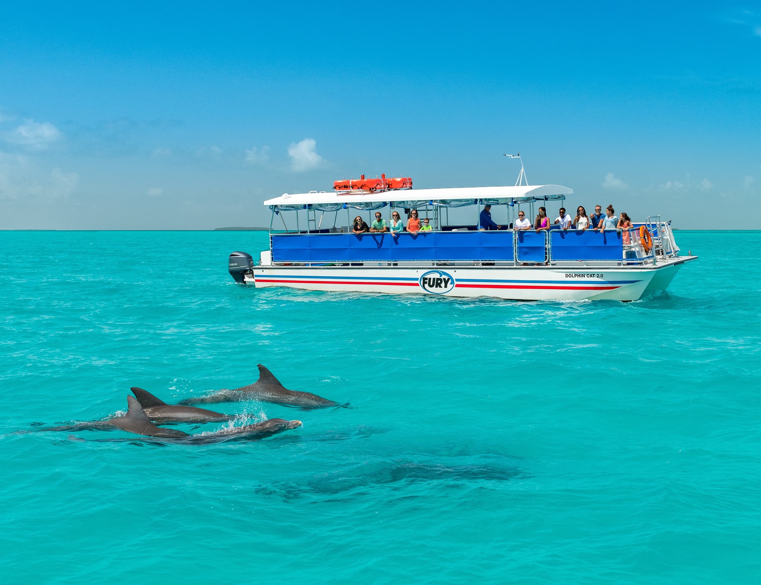 from Key West: Dolphin Spotting Snorkel Boat Tour