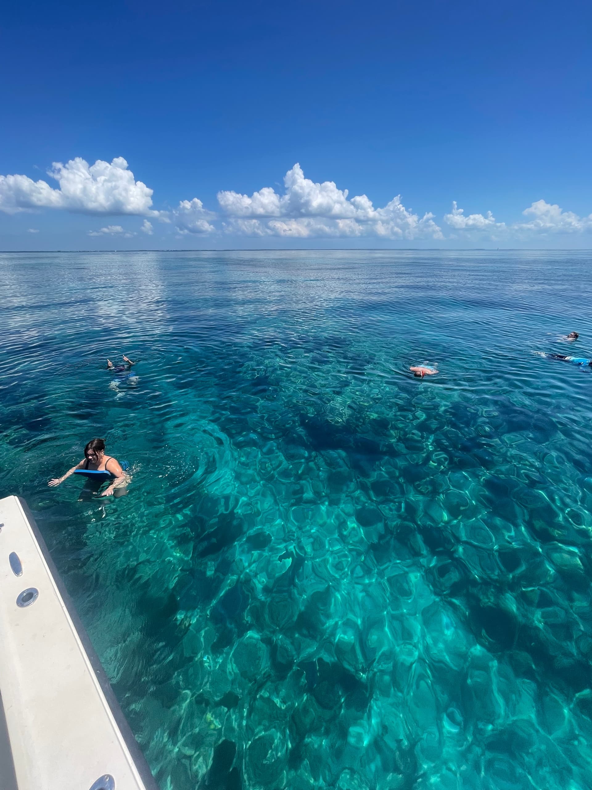 Two Hour Reef Snorkel