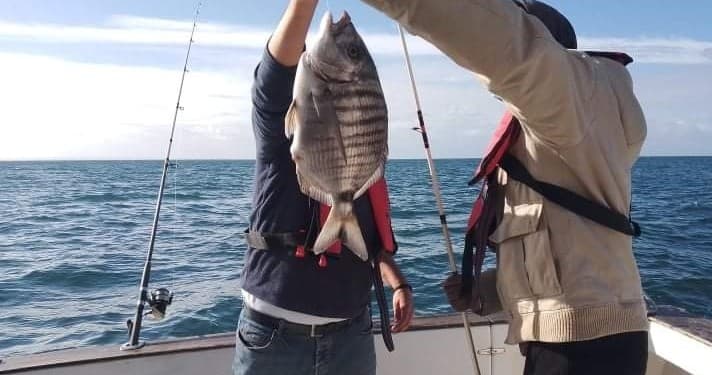 Pesca Partilhada