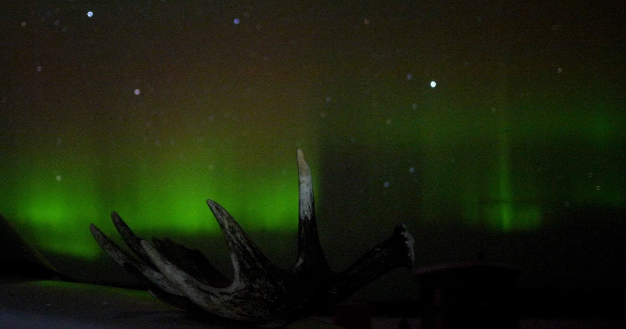 Arctic Circle Tour/Aurora Borealis