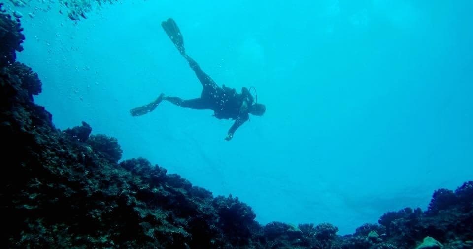 2 Tank Local Morning Dive
