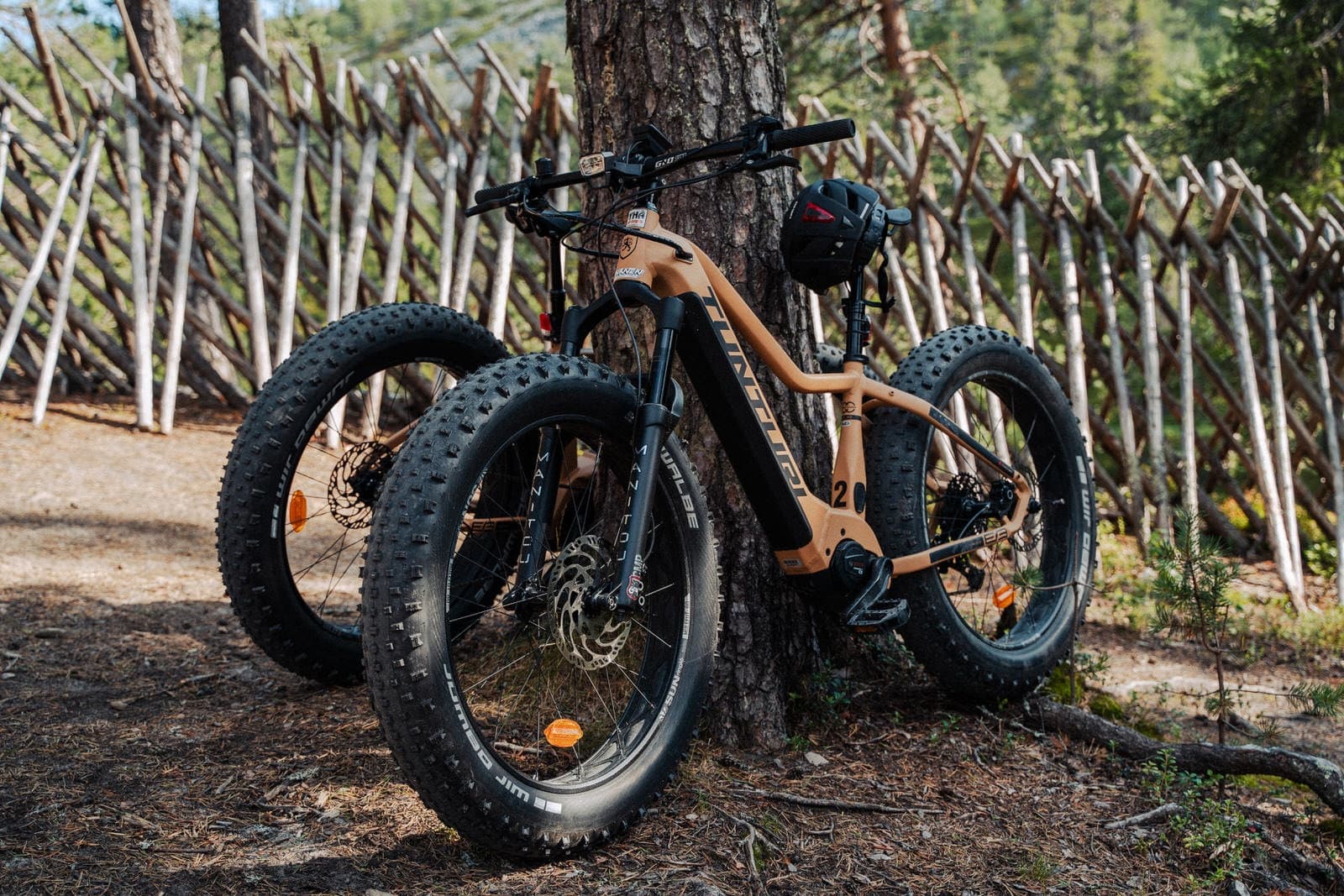 E-fatbike rental