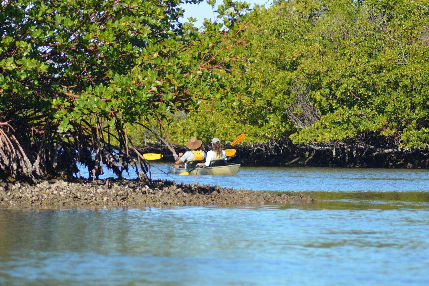 Marco Island Mangrove Maze Adventure