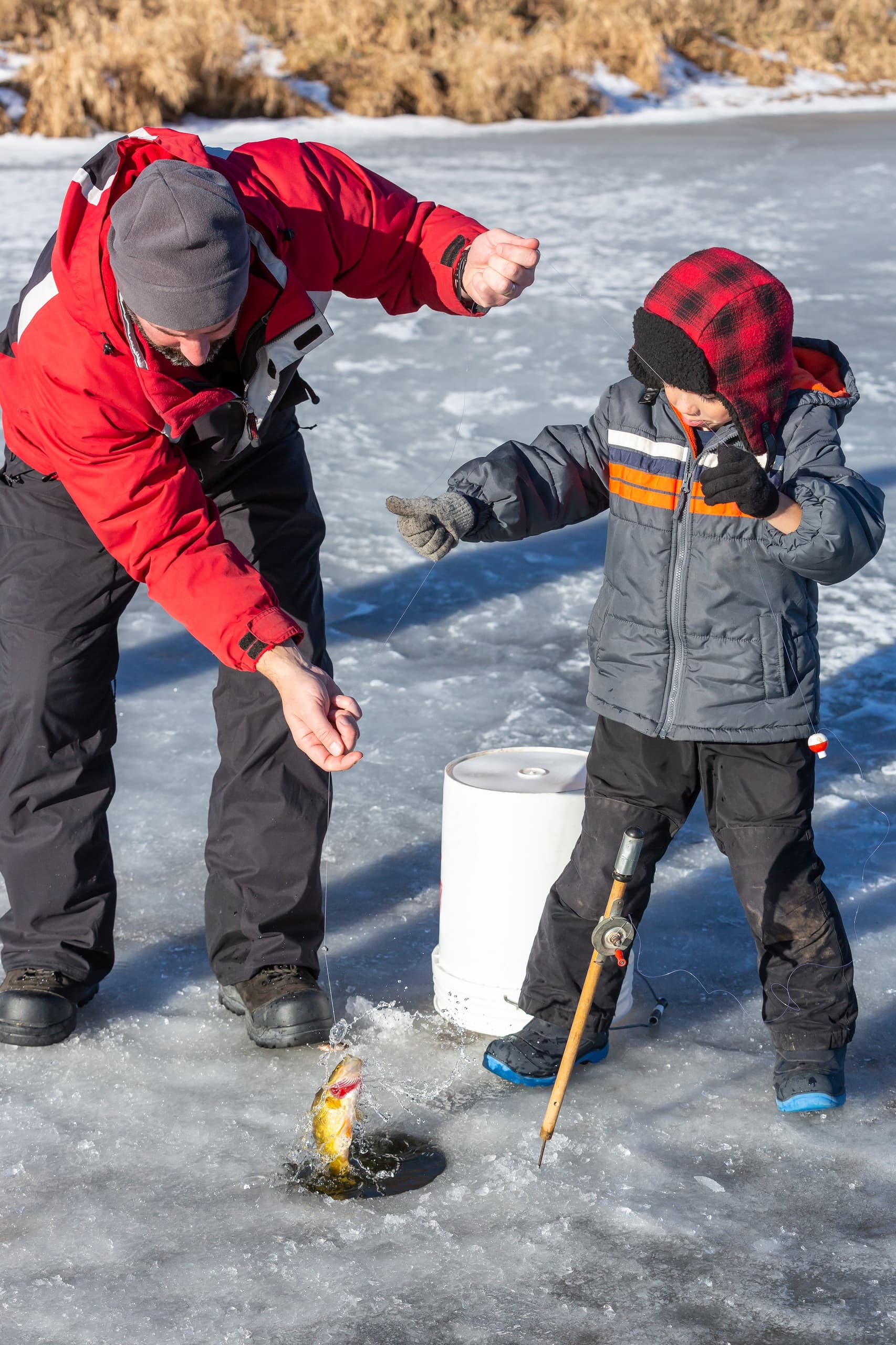 Dog Sledding & Ice Fishing Combo