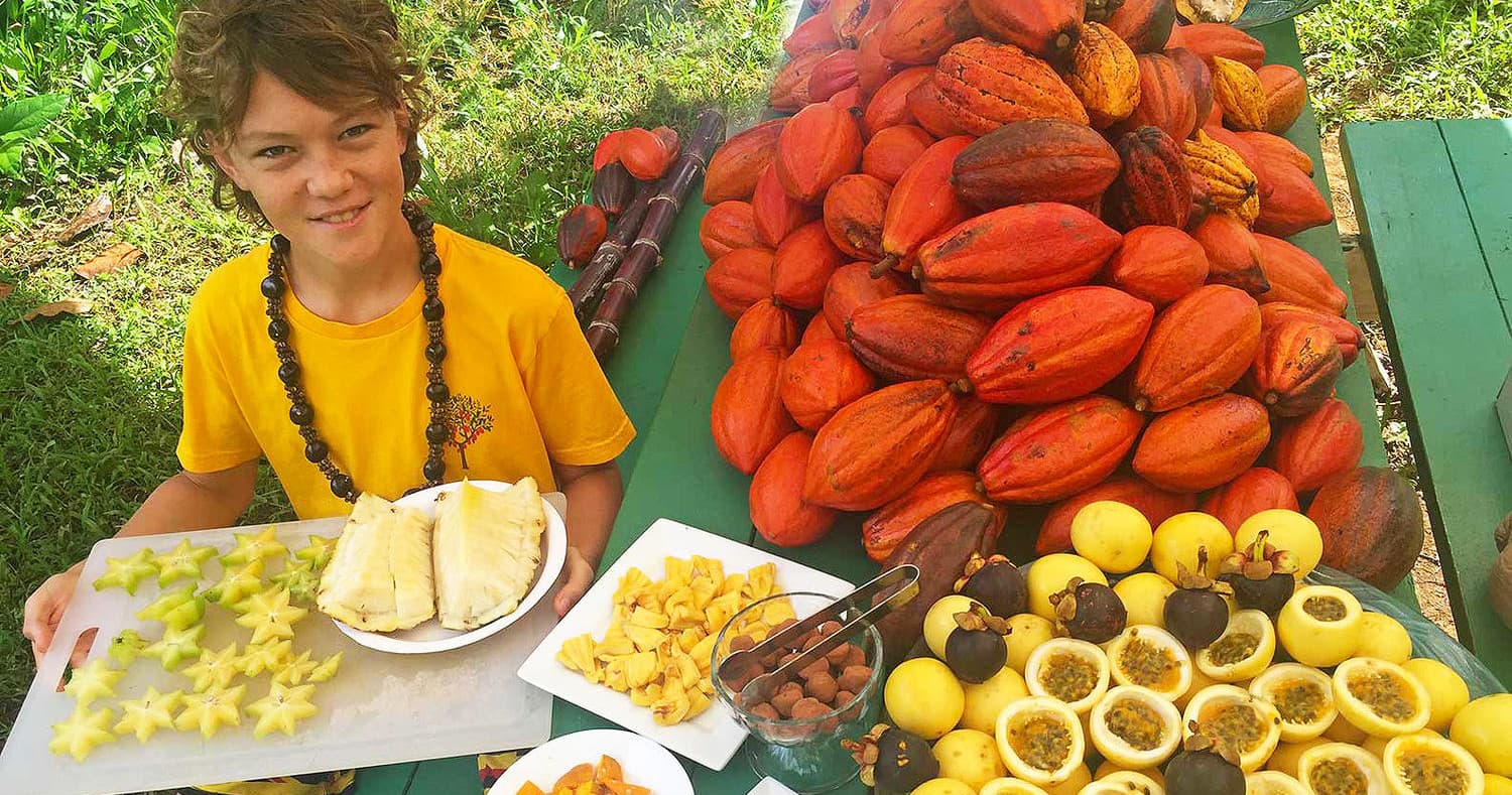 Chocolate Tour & Tasting