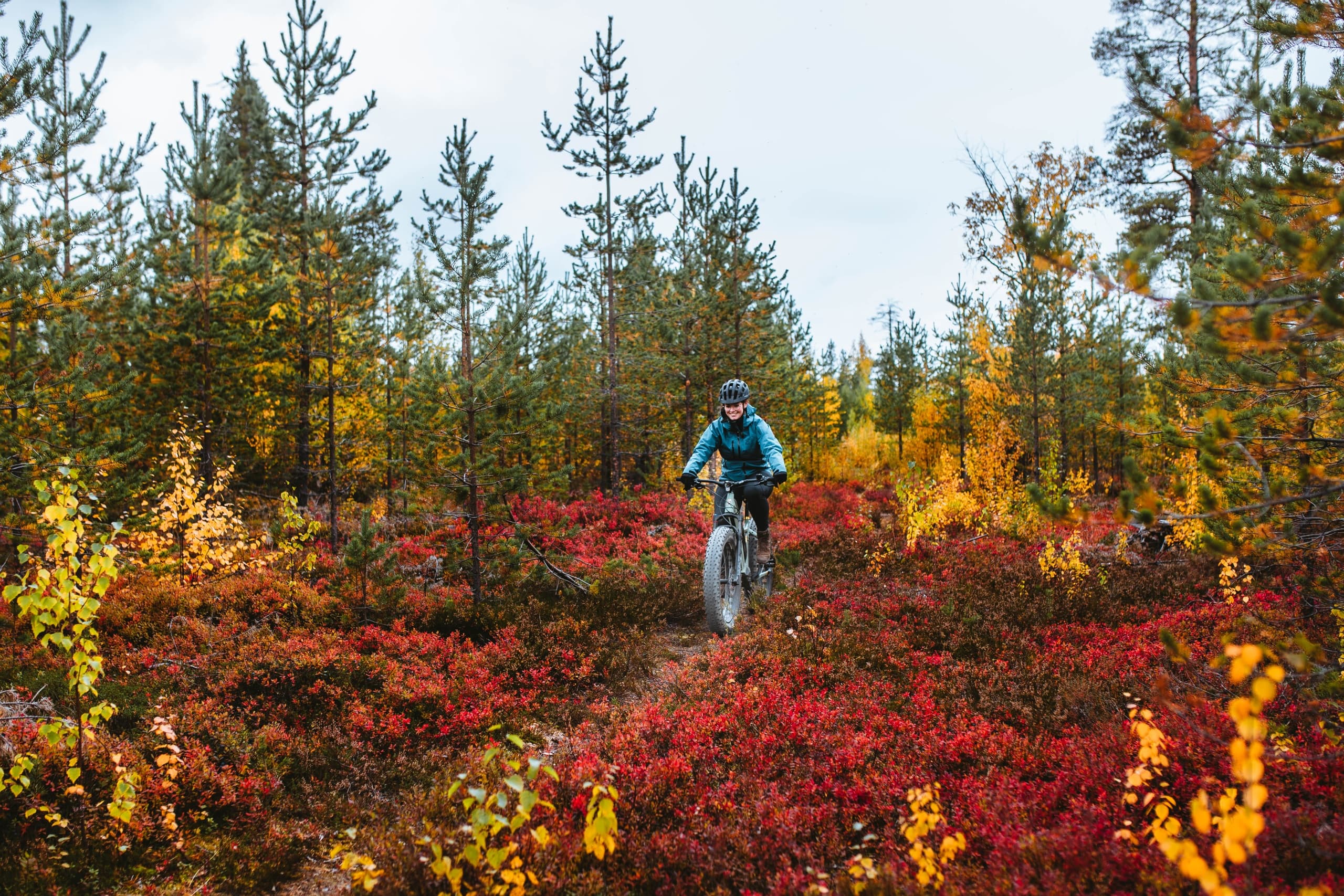 Exploring Nature with eFatbike