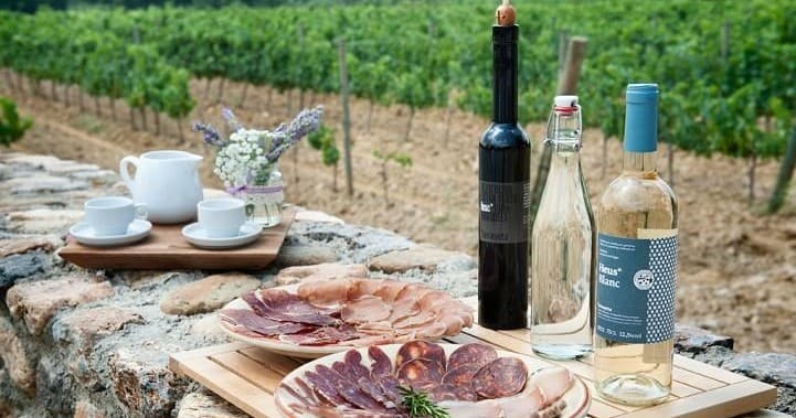 Tour de Vinos D.O. Empordà 2 Bodegas + Desayuno