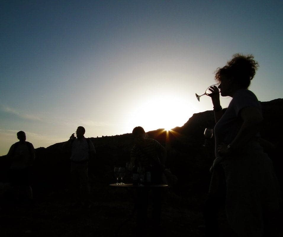 Tast a la fresca entre vinyes al cor del Priorat