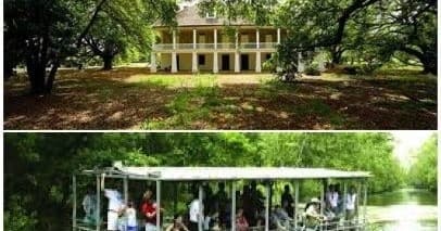 Pontoon Boat Swamp Tour & Guided Whitney Museum Plantation