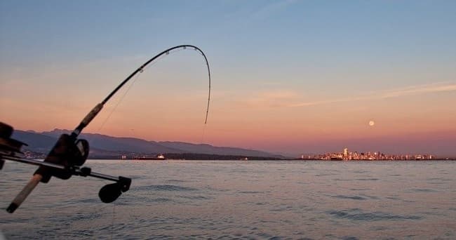 Catch & Release • Afternoon