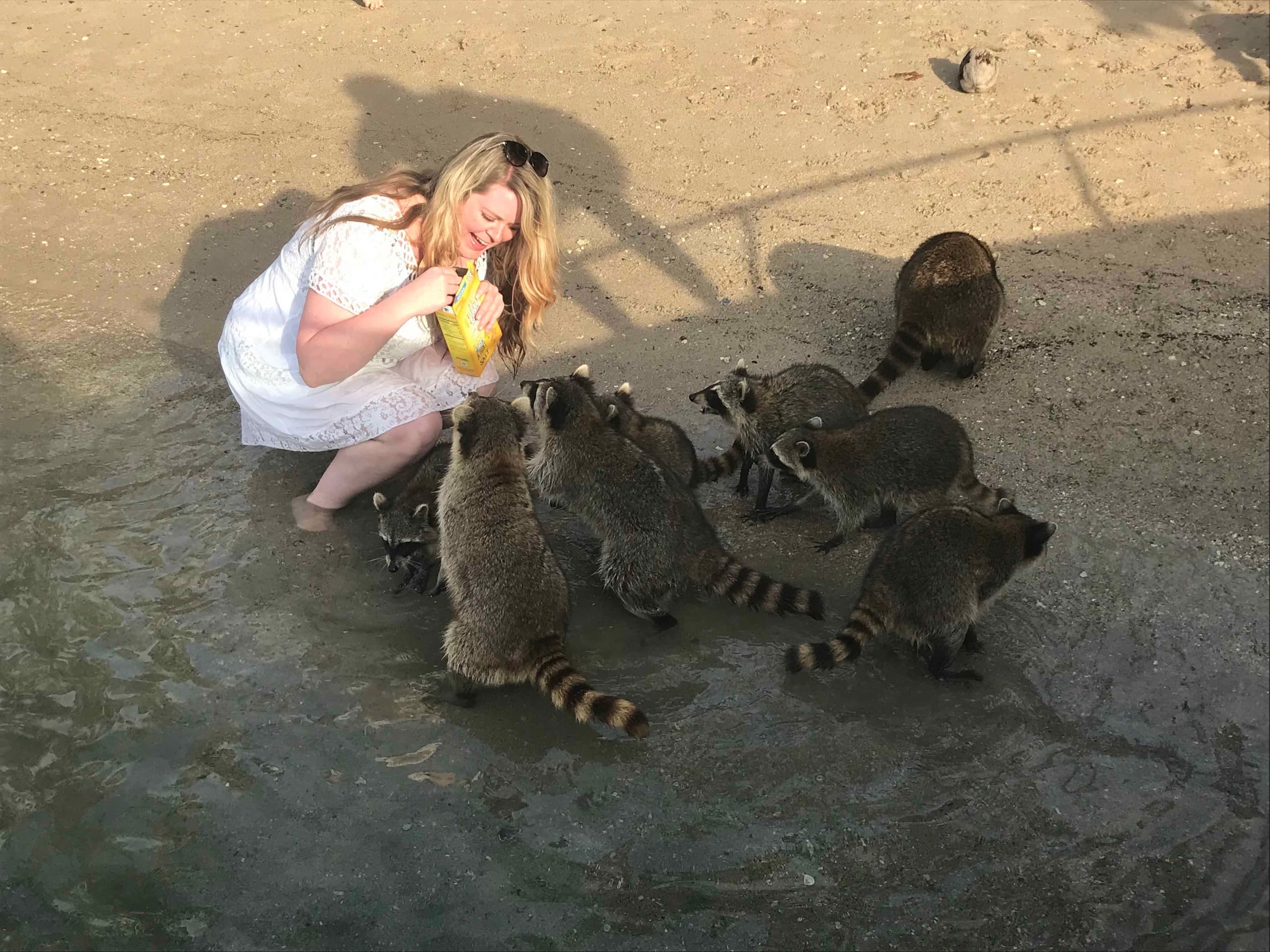 Raccoon Island Tour