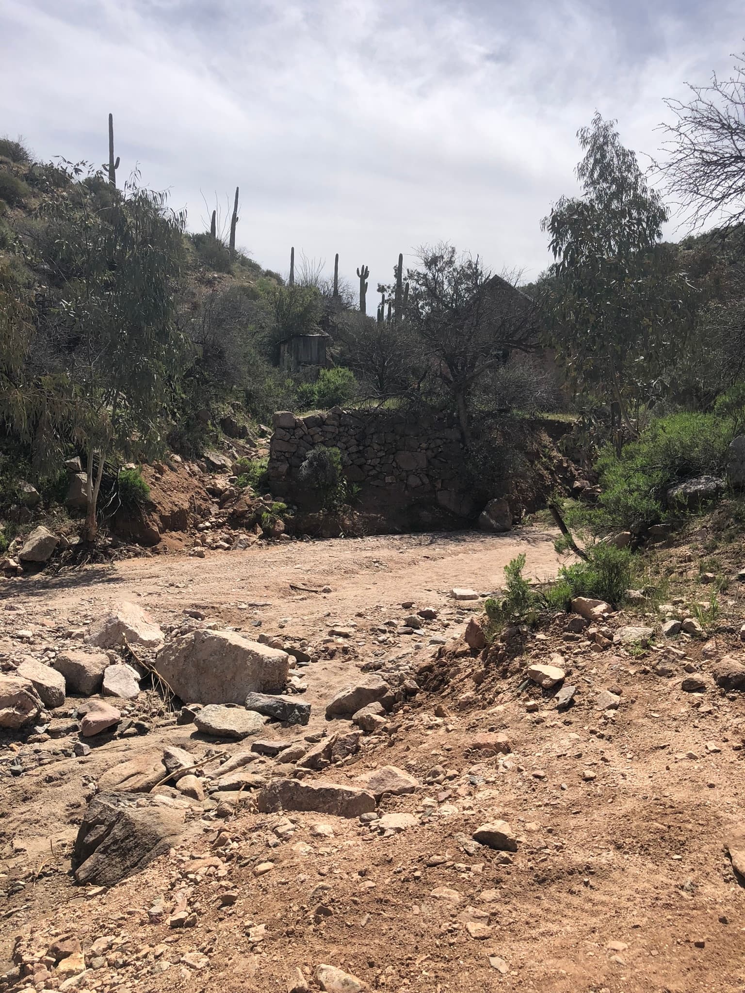 Full Day | Castle Creek Slot Canyon