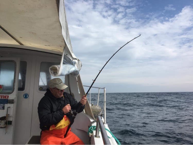 Mackerel Fishing Trip