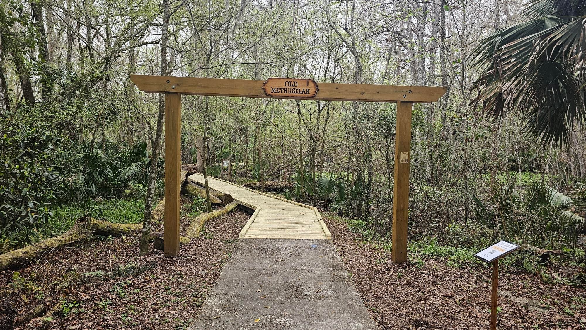 Guided Hiking Tour
