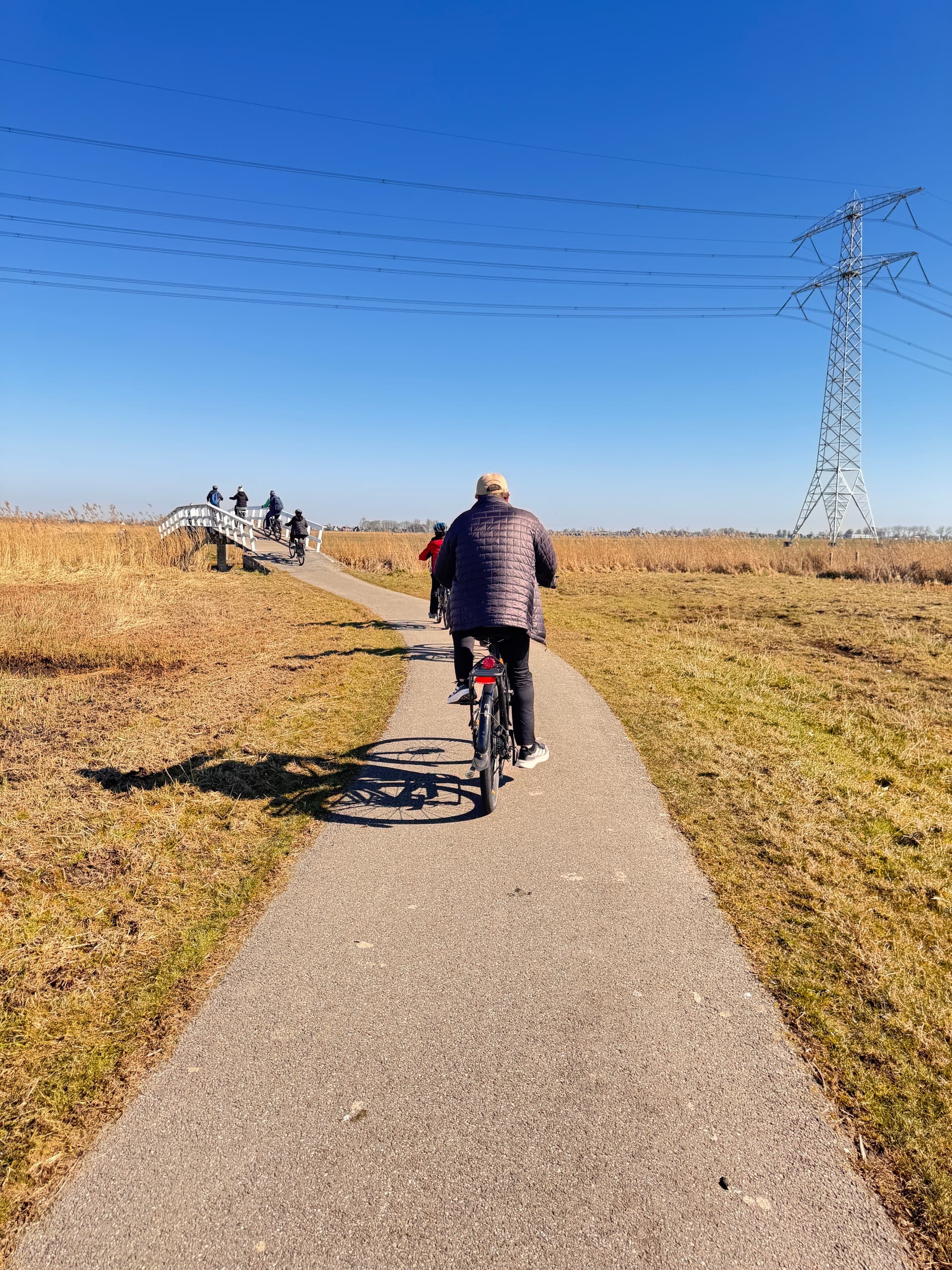 Windmills, Cheese & Countryside Electric Bike Tour: 2.5 hours