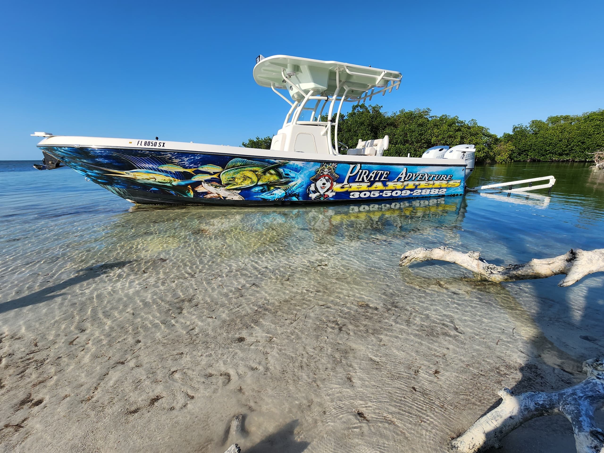2 Hour Sandbar Trip