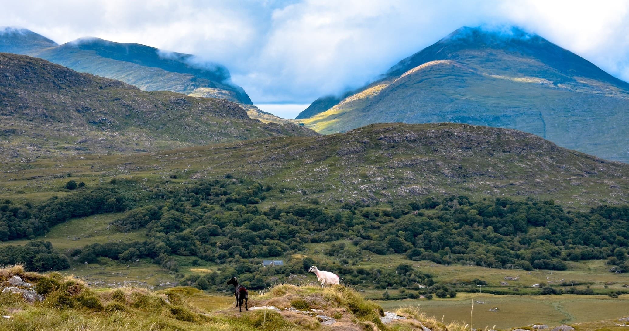 Killarney Day Tours