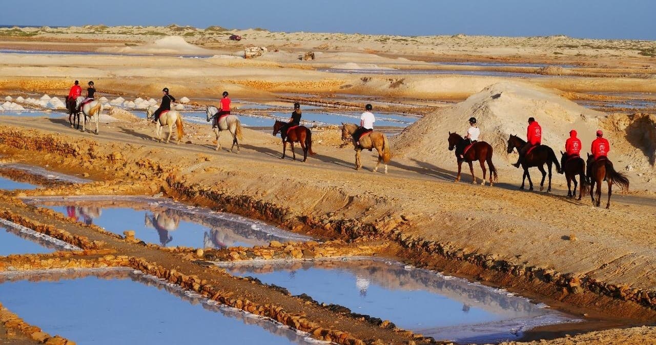 Horse Excursions Salt Flats Trail