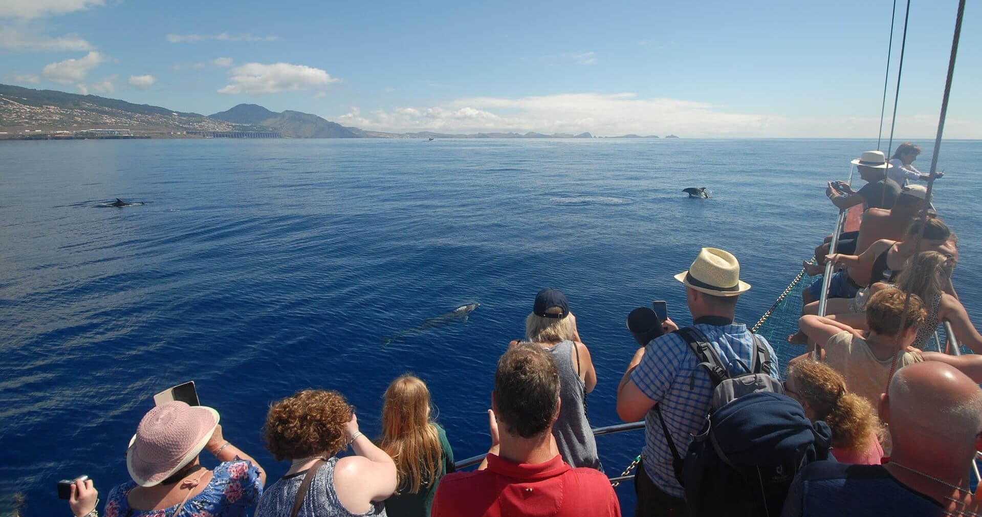 Desertas islands by Bonita da Madeira