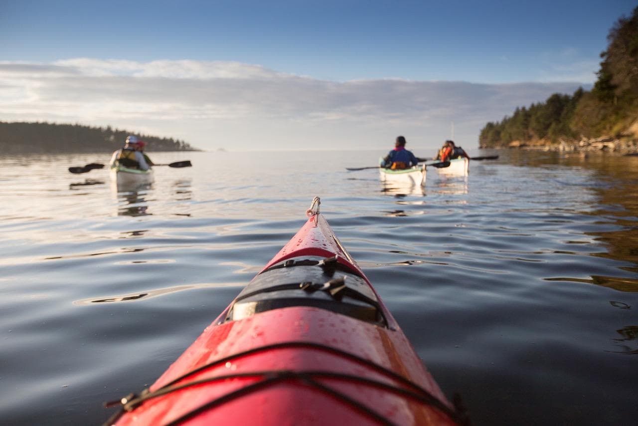 Kayak The Cove (3 Hour)