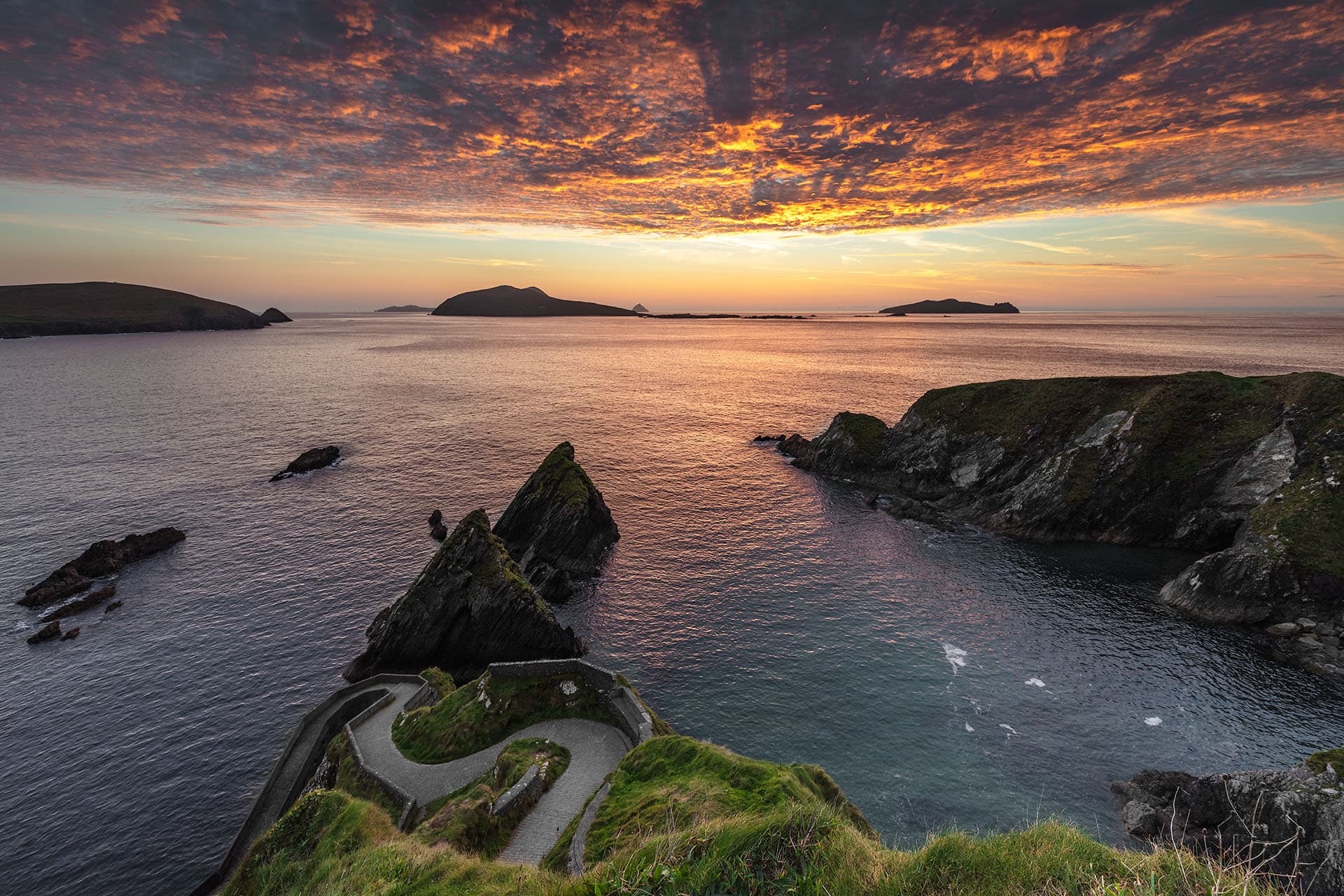 1 Day Beginners Photography Tour