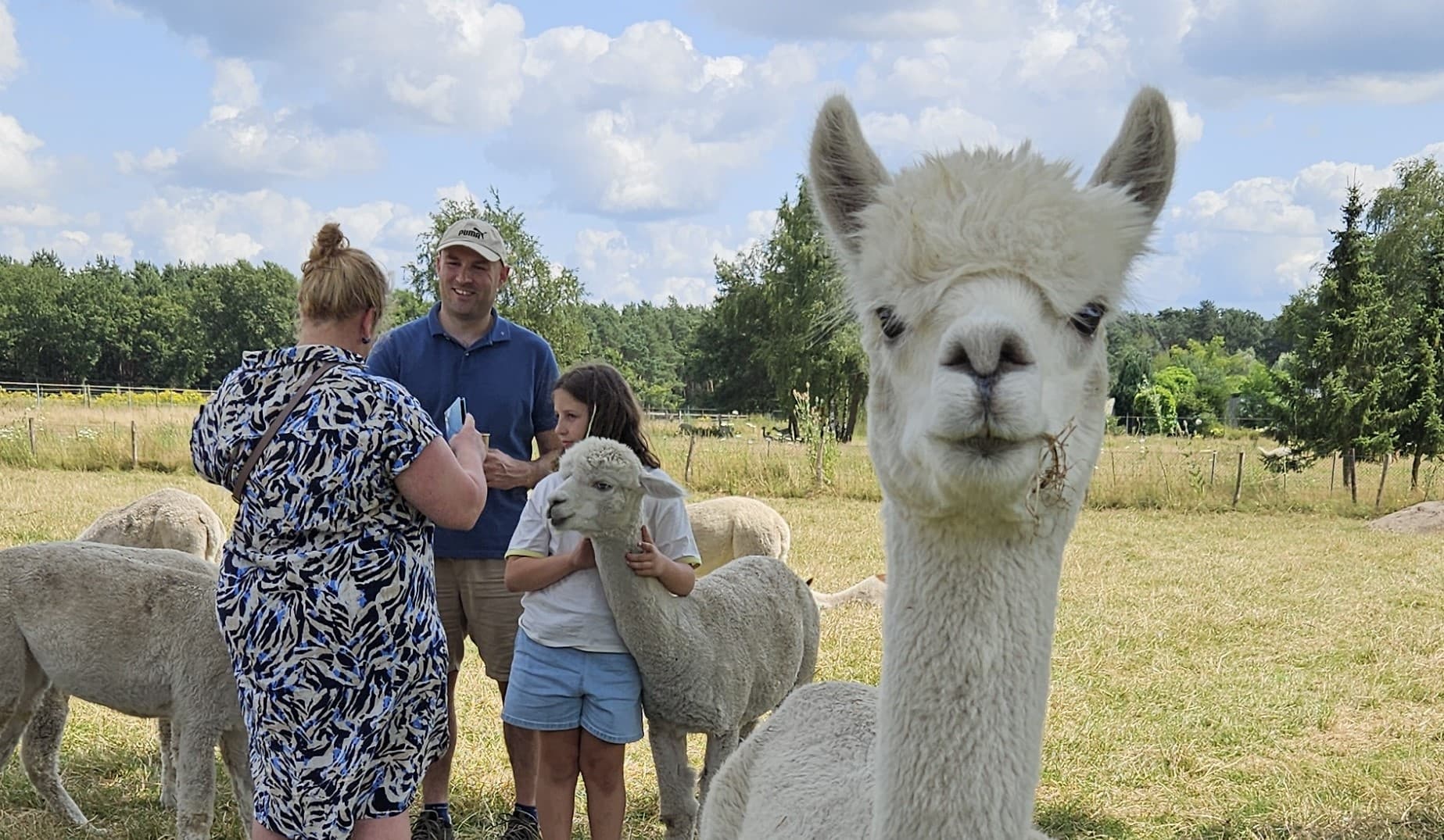 AlpacaBezoek (standaard inkomticket)