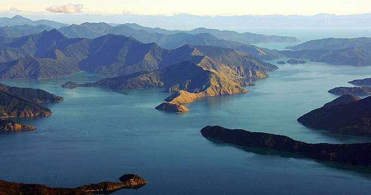 Bays and Bush Scenic Tour