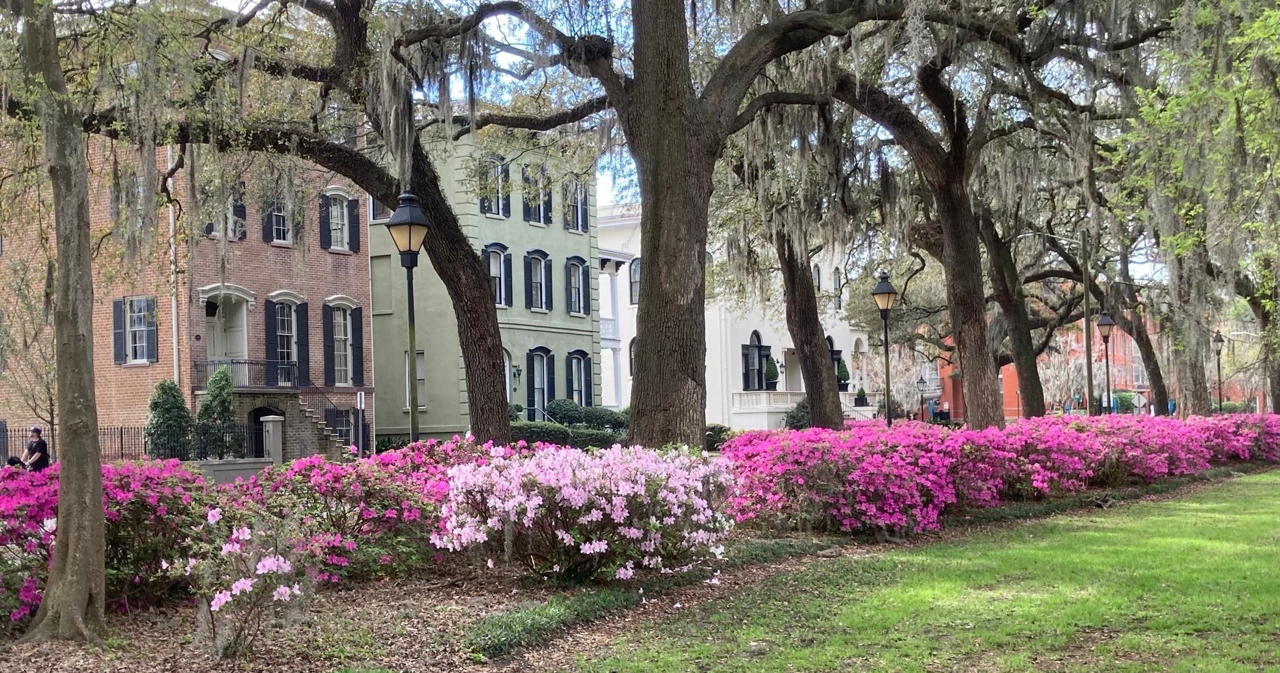 2-hour Guided Walking Tour
