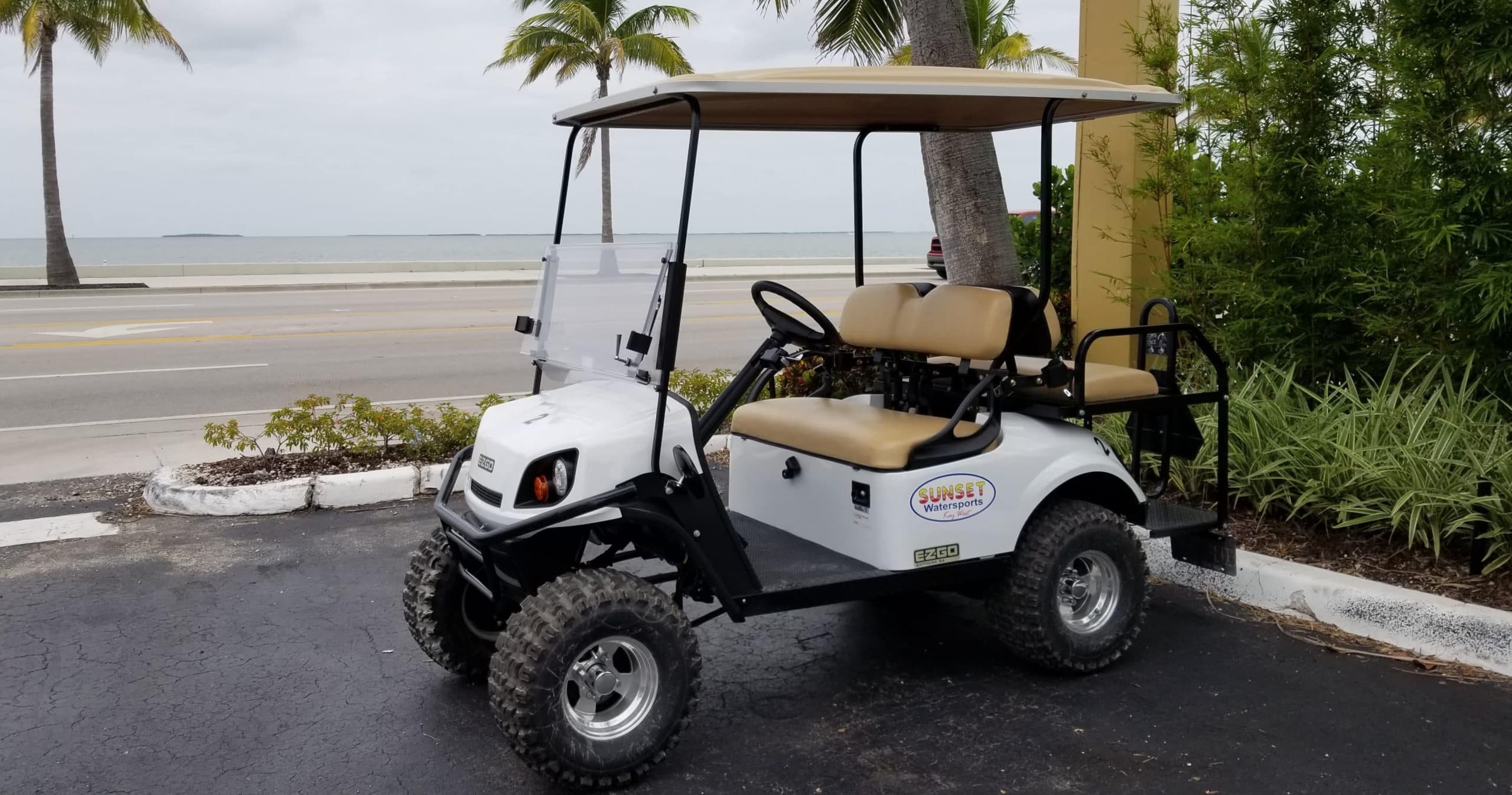 4 Person Golf Cart Rentals - Concierge