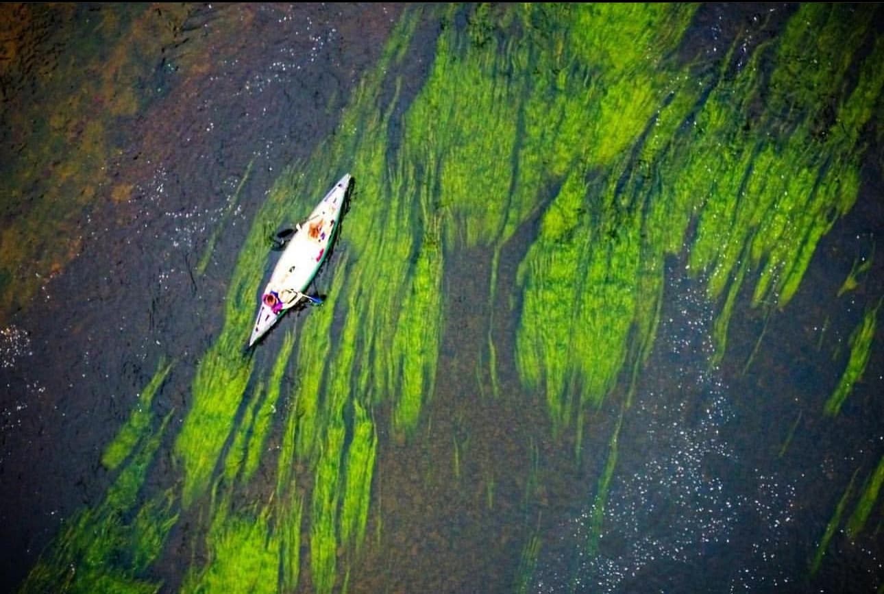 Full-day Canoe Hire (12 miles)
