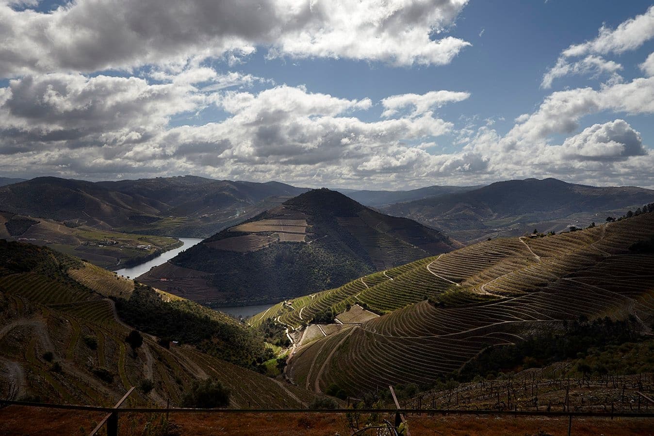 Lamelas | Caminhada guiada às vinhas & prova de vinhos privada