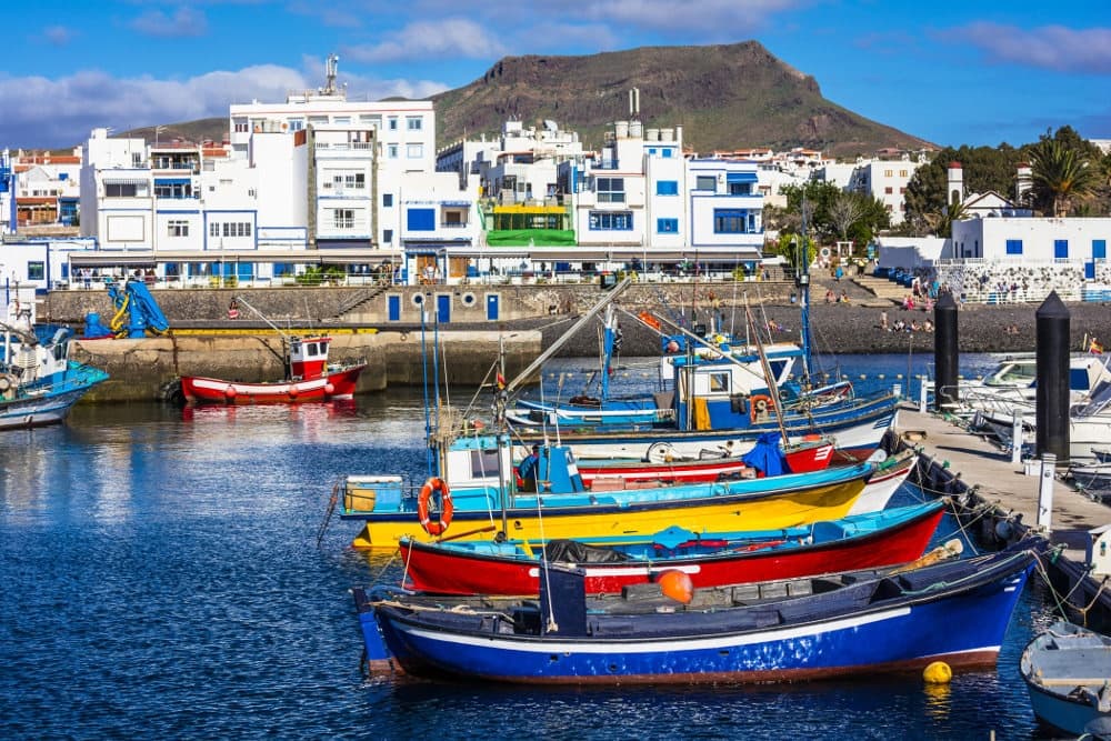 Esencias del Norte de Gran Canaria: quesos, viñedos y cafetales