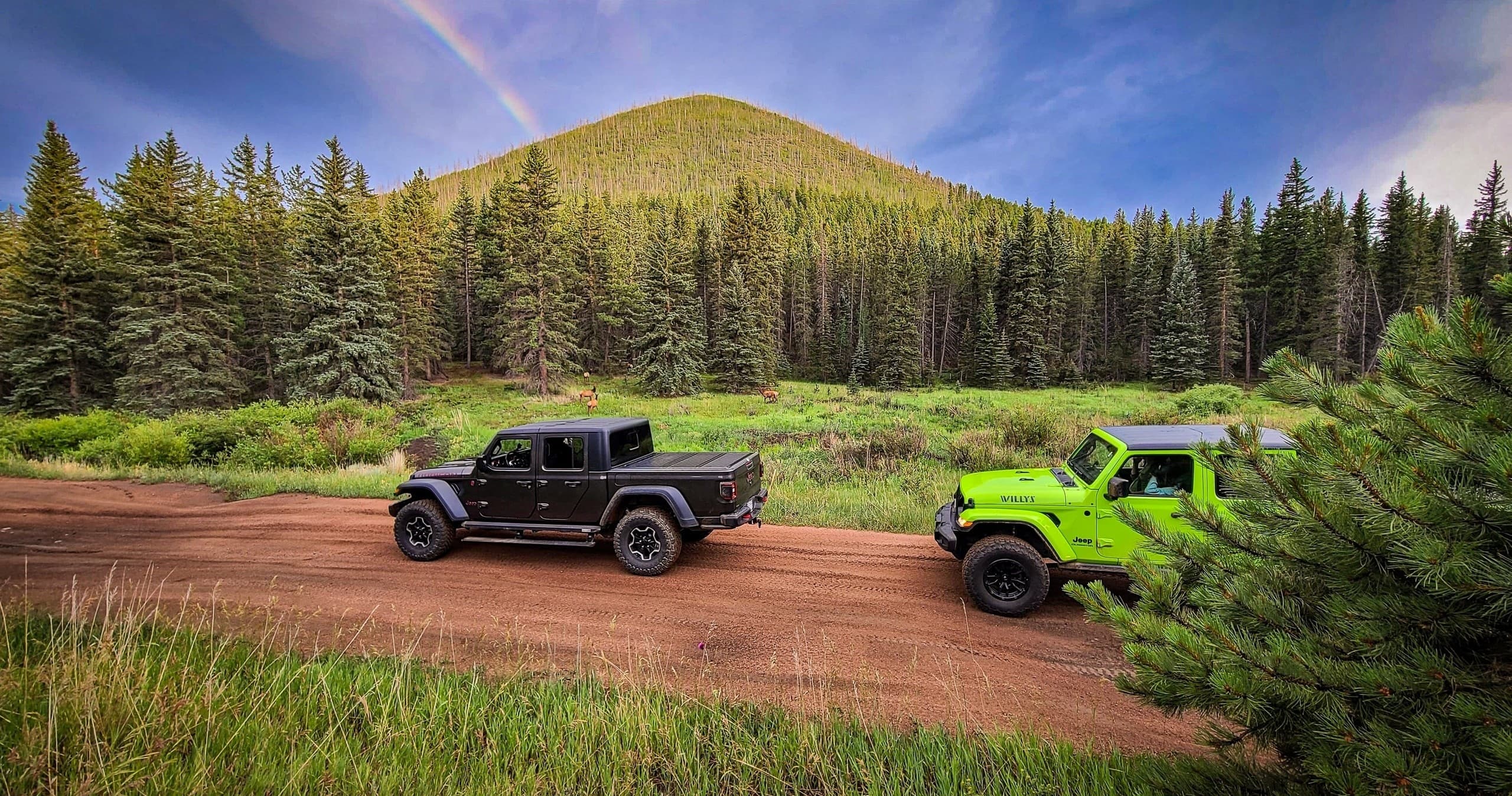 2.5 Hour Guided Mountain Wildlife Jeep Tour