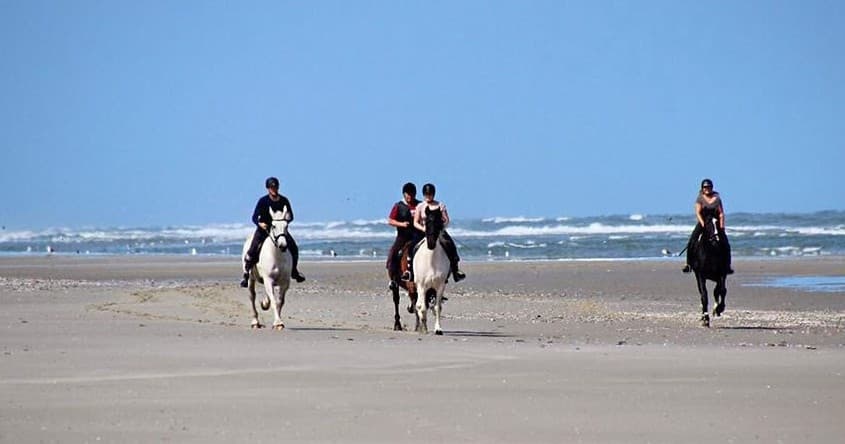 Gevorderde 2 uurs buitenrit