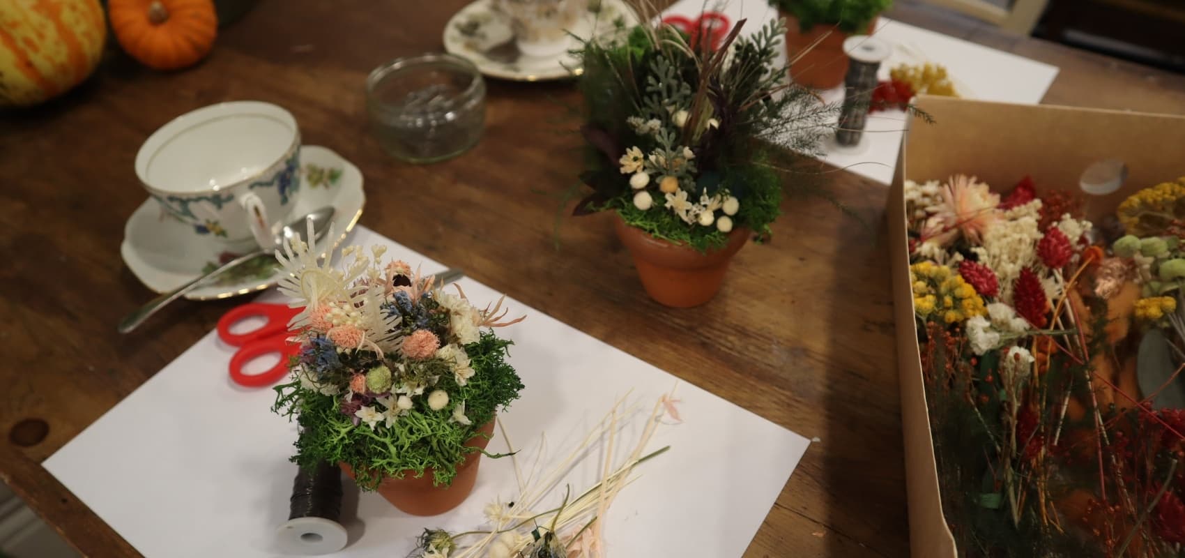 Teen's Mini Garden Crafternoon @ Nottingham City Centre