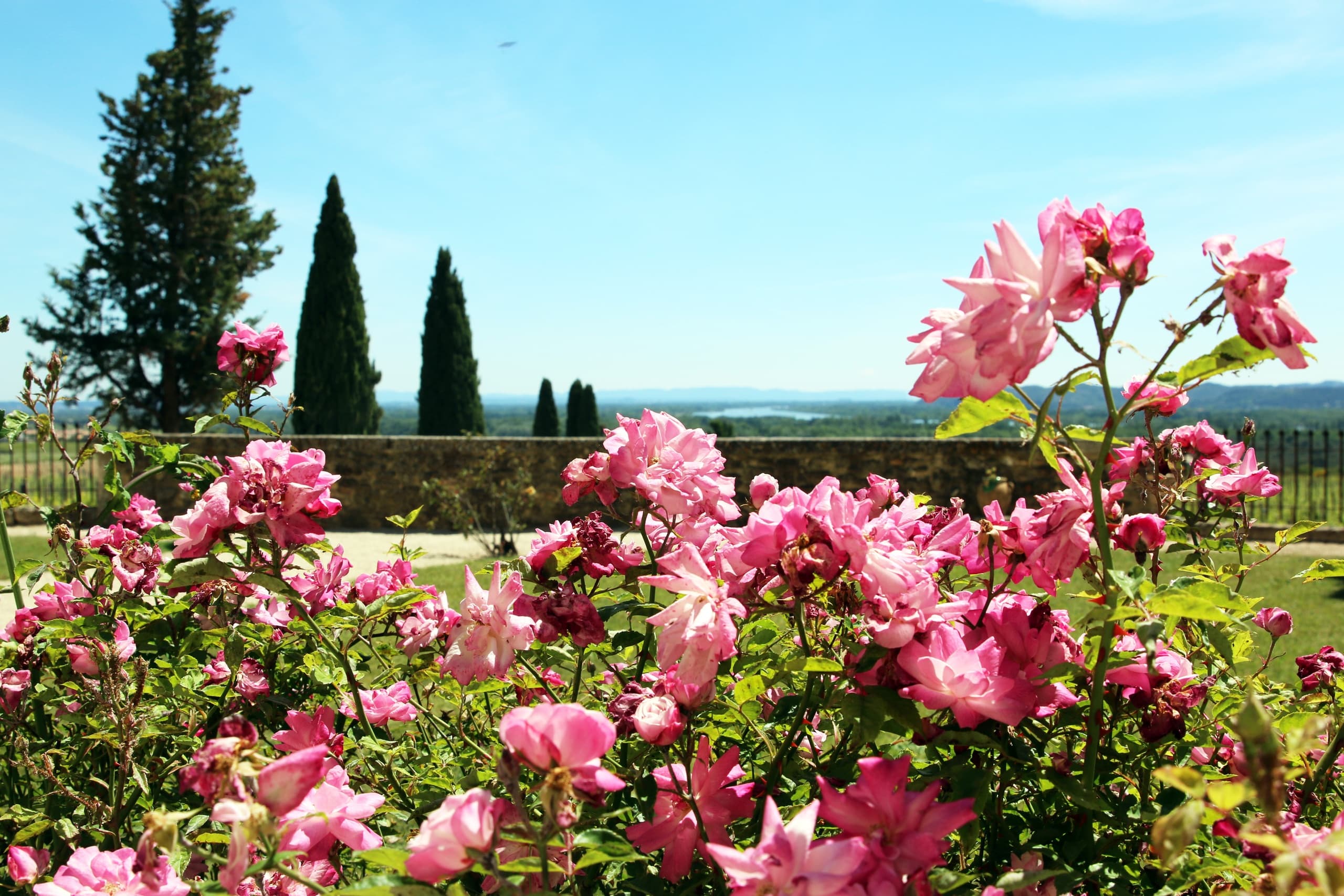 Three day road trip from Avignon to discover the beautiful villages of the Vaucluse, historic Gordes & the French brocante & antiques of l'Isle sur la Sorgue to the extraordinary Alpilles