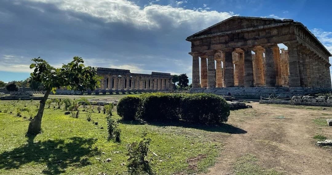 Paestum - Visita del Parco Archeologico e del Museo