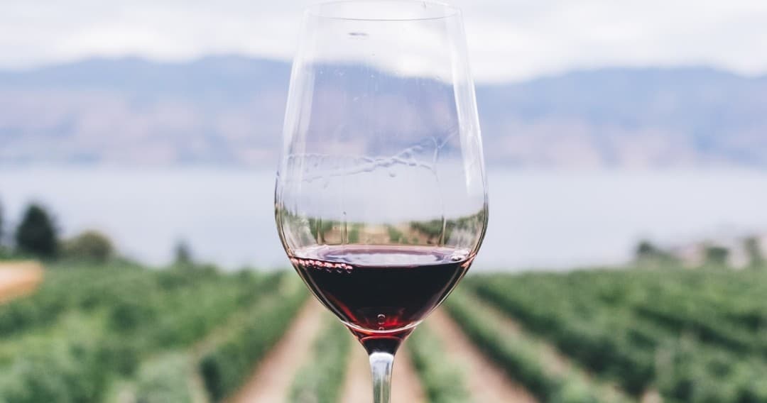 Douro Port Tasting Tour