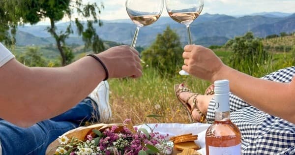 Douro Valley Picnic Winery
