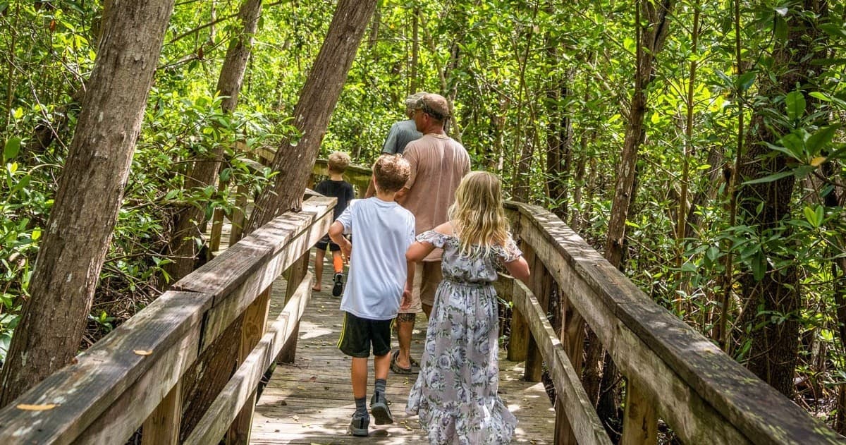 Boardwalk