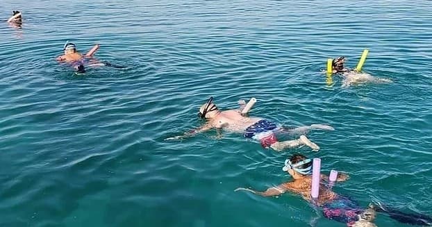 Snorkeling Trip