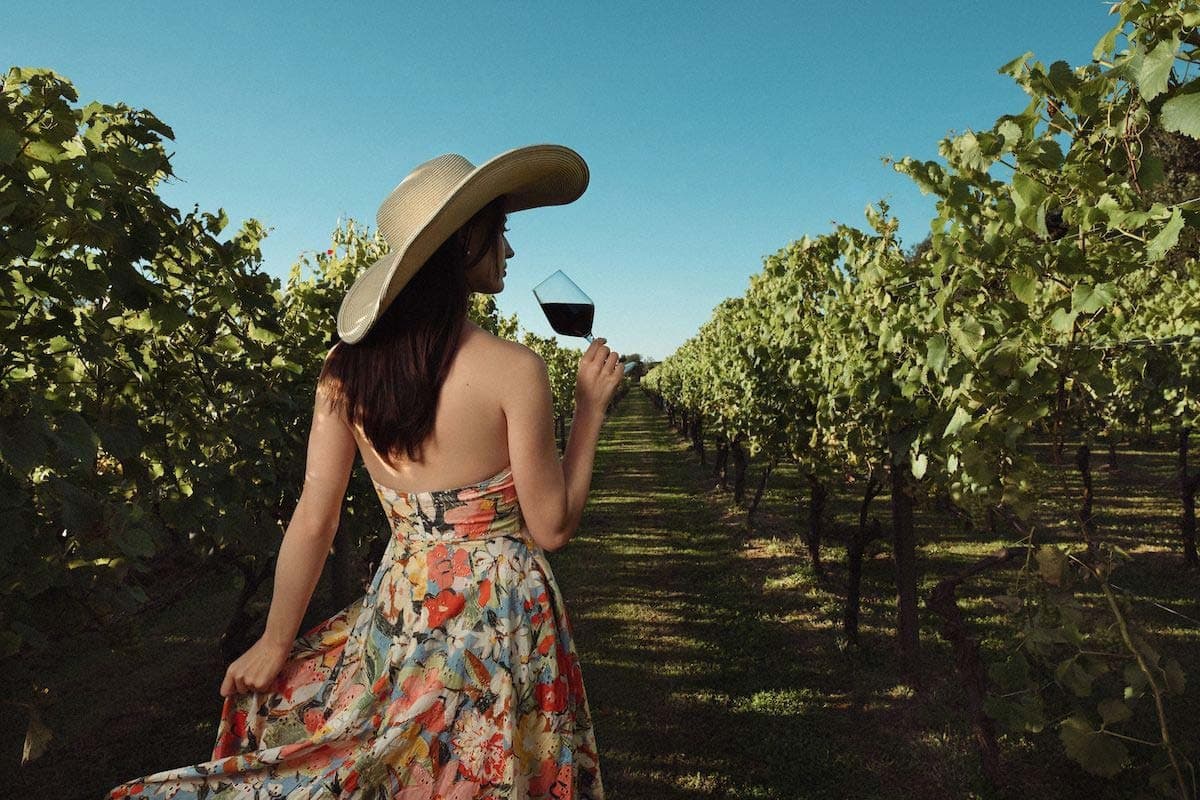 Classic Guided Tour & Tasting Experience