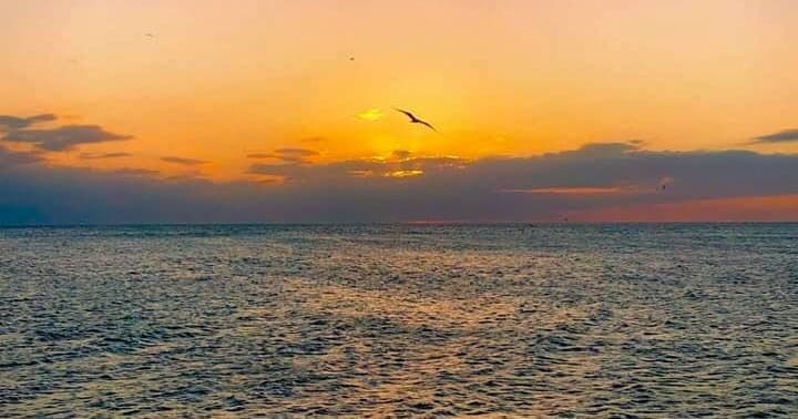 Sunset Cruises