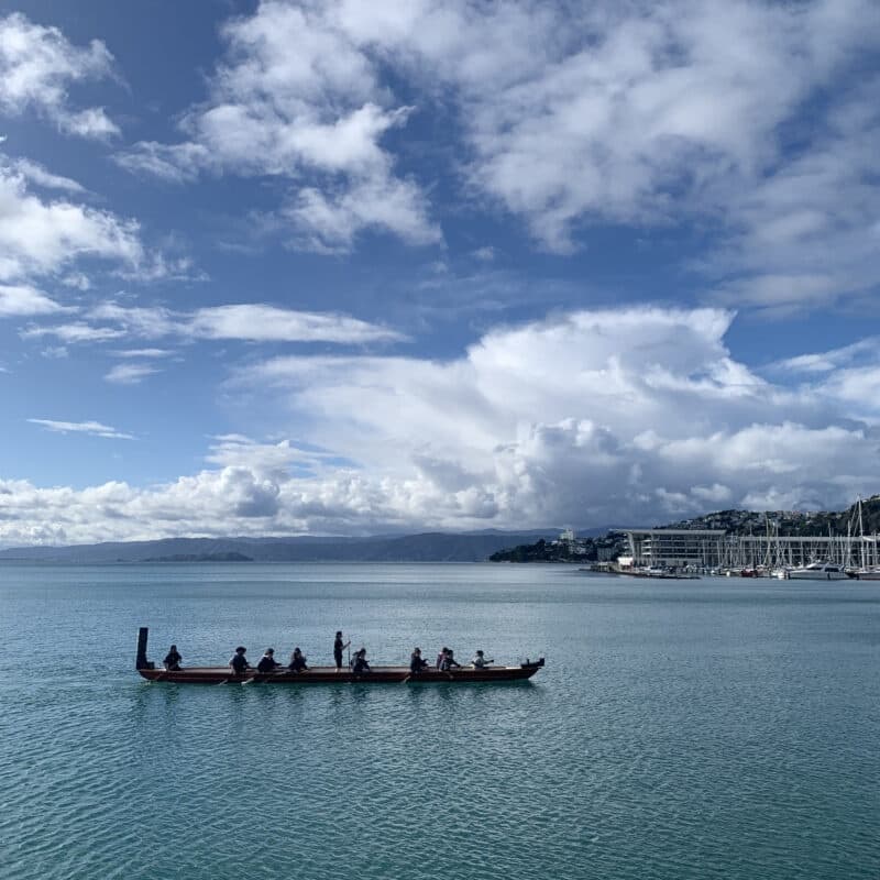 Guided Waka Tour - 1 hr 15 mins