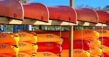 Six Day Kayak / Canoe Rental