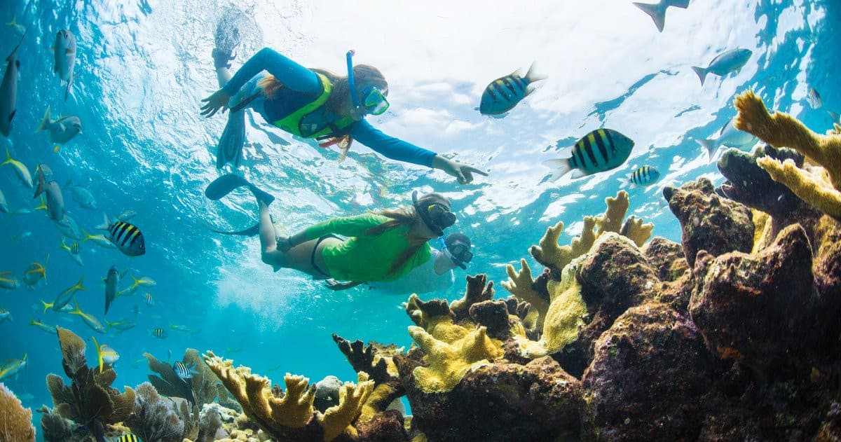3.5 Hour Private Snorkel Tours