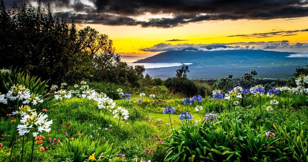 Upcountry Sunset